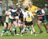 Rugby, Federal 2: Vergt would have deserved better in Villeneuve-sur-Lot