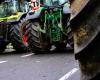 Anger of the farmers. Actions announced in Tarn-et-Garonne: here is where and when