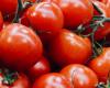 why should you eat tomatoes?