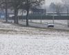 Snow, strong wind… Belgium facing winter conditions in the coming days