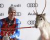 Alpine skiing – World Cup. Levi: what name for King Clément Noël’s first reindeer?