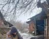 Ukraine: interview with an animal rescuer on the 1,000th day of the war – News