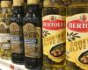 Olive oil prices set to be halved, says world's largest producer