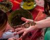 Intangible cultural heritage: UNESCO examines the inscription of “henna” in December