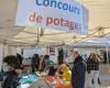 Great success for the Potage des chefs at Puy-en-Velay with a thousand liters sold