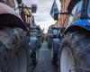 Mobilization of farmers: what to expect this Monday in Albi?