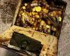 Austria: a worker discovers a treasure of 2.3 million euros