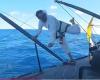 Grinding, cutting, sanding, gluing, lamination: Louis Burton the MacGyver of the Vendée Globe [Vidéo]