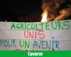 “Death is in the meadow”: French farmers demonstrate this Monday against the EU-Mercosur agreement (videos)