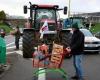 LIVE – Anger of farmers: “85 demonstration points” across France, according to the FNSEA