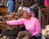 Public food stocks can stabilize food prices in Africa