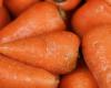 E. coli bacteria: urgent recall of organic carrots after death in the United States