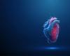 Can heart shape predict cardiovascular risk?