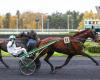 11/18/2024 in Vincennes – Quinté +: Hannibal Tuilerie easily