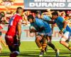 Top 14: Marvin Orie operated on, returns for Toulouse, Bruce Devaux close to recovery… The latest news from the USAP infirmary