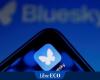 What is Bluesky, the platform that has gained millions of users since the American presidential election