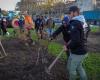 Anger of farmers: vines planted, municipalities renamed, more than 80 symbolic actions launched in France