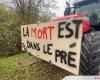 Mercosur: in Nancy, farmers are mobilizing this Tuesday in front of the prefecture of Meurthe-et-Moselle