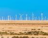 Voltalia and TAQA Arabia on the repowering of the Egyptian wind site of Zafarana