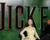 Cinema: “Wicked” will be screened in South Africa