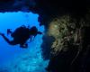 Thinking they came across a wreck, divers discover that this “giant shadow” is alive