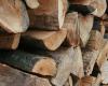 Aqali: High prices of firewood in the Middle Atlas regions worsen the suffering of needy families