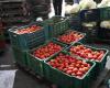 A 146% increase in tomato prices over one year