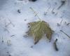 The first snow is expected in the plains on Wednesday