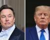 Battle of egos: can the Musk-Trump romance last?