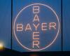 Bayer: Berenberg lowers its price target – 11/19/2024 at 12:16