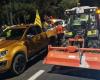 VIDEO. “I am not a beggar, I want to live from my work”: farmers left Béziers to block the Spanish border