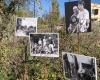 At the Solidarity Gardens in Nîmes, Marc Pataut and the memory of “Those from the field” before the Stade de France