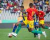 Experience the Tanzania vs Guinea match