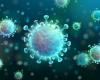 Coronavirus (COVID-19): symptoms, causes, treatments, transmission