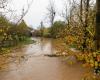 the huge Pairi Daiza animal park is hit by floods