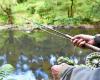 “It’s a hell of a sacrifice”: Côtes-d’Armor fishermen give up salmon… under conditions