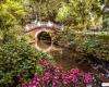 Strong winds in Paris: closure of parks, gardens and cemeteries this Tuesday