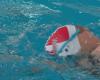 Finals and podiums at Mount-Pearl for the swimmers of the Drakkars de Saint-Pierre