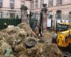 VIDEO. Anger of farmers: immersed in the column of tractors which converged on Rodez to “redecorate” the prefecture