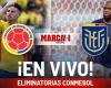 Colombia 0-1 Ecuador LIVE Online. Match today South American Qualifiers 2024