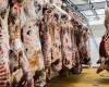 Red meat imports: this is how Spanish operators meet halal label requirements