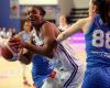 TGB – EuroCup: an easy victory against the Hungarians of Szekszard and a qualification for the 32nd finals, a good evening for the Tarbaises