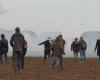 “Direct Action”, a fascinating cinema experience in the ZAD of Notre-Dame-des-Landes