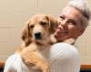 The singer Pink ends up falling for the dog she was only supposed to take in temporarily and says she is “happy to have failed”