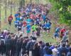 Discover the results of the Marne school championships in cross country