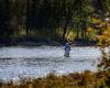 “Major, major, major” concern for Atlantic salmon