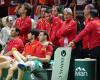 Davis Cup, The editor's blog > David Ferrer, responsible but not guilty!