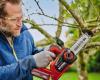 The new price on this cordless chainsaw on this specialized site defies the competition