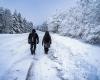 WEATHER REPORT. The snow is arriving, first flakes in Lozère and the Cévennes