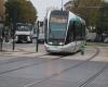 the T8 tram partly interrupted due to dead leaves, announces the RATP